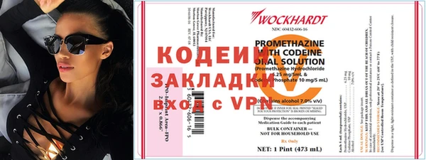 прущие грибы Богородицк