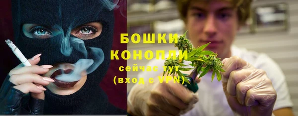 прущие грибы Богородицк