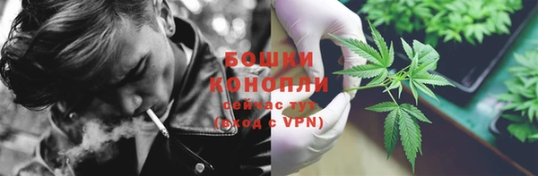 прущие грибы Богородицк