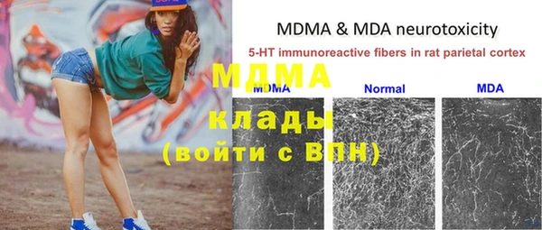 прущие грибы Богородицк