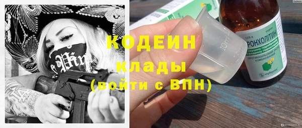 прущие грибы Богородицк
