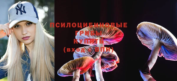 мяу мяу кристалл Богданович